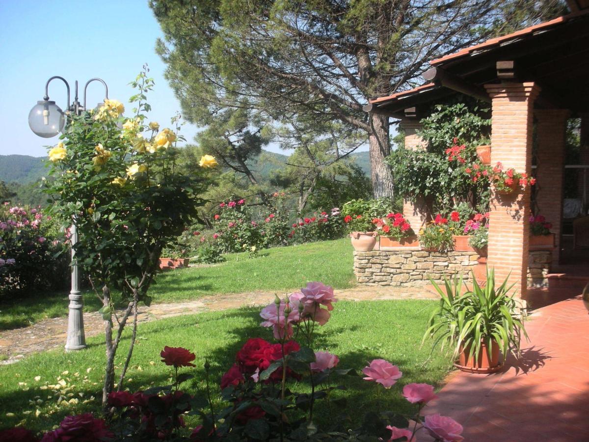 Villaspino Capolona Bagian luar foto
