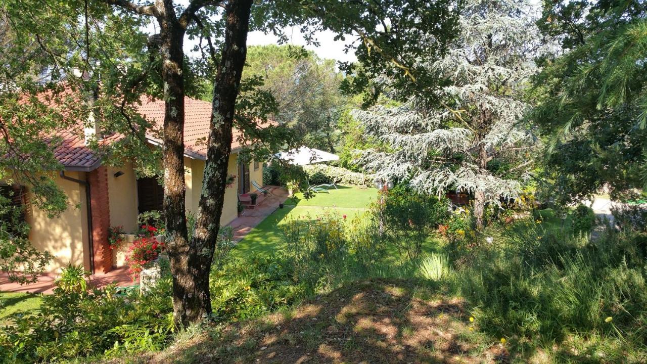 Villaspino Capolona Bagian luar foto