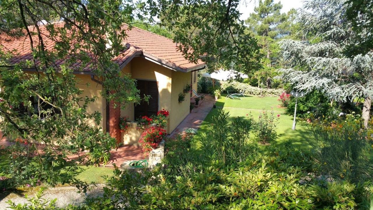 Villaspino Capolona Bagian luar foto