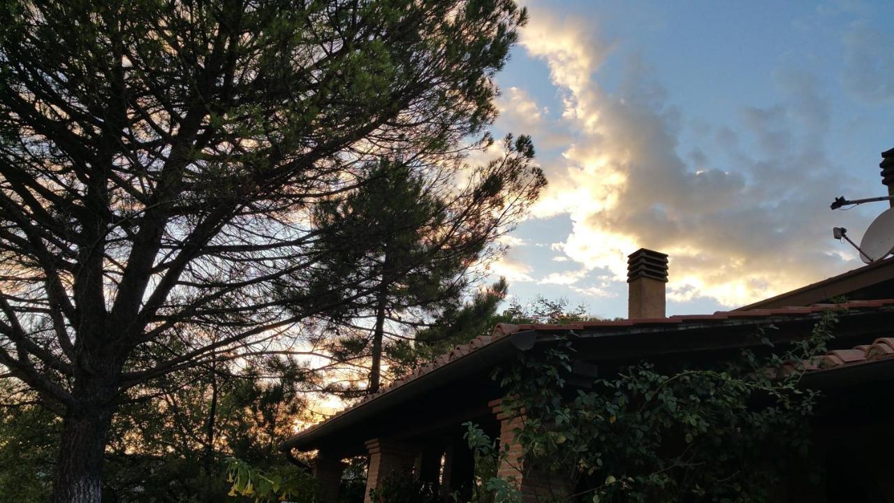 Villaspino Capolona Bagian luar foto
