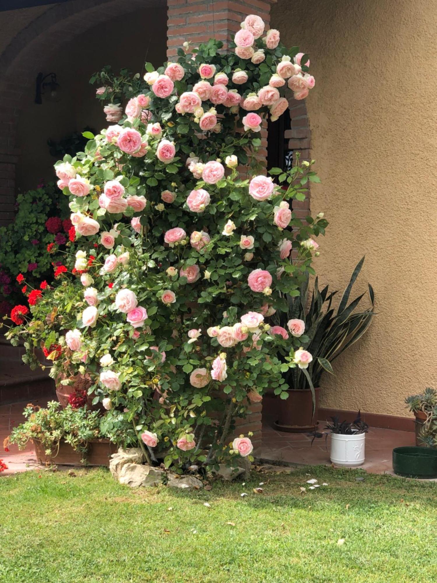 Villaspino Capolona Bagian luar foto