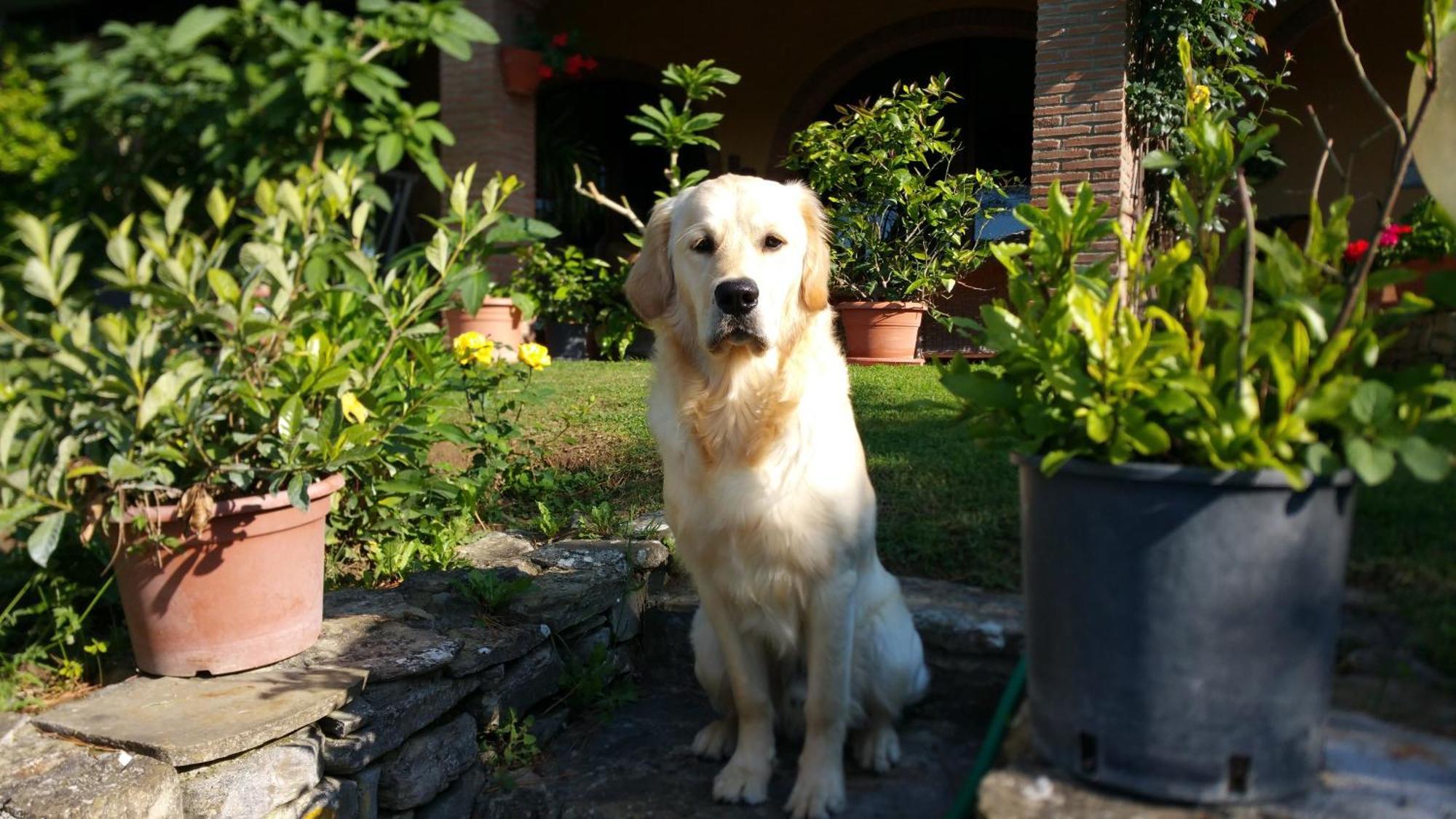 Villaspino Capolona Bagian luar foto