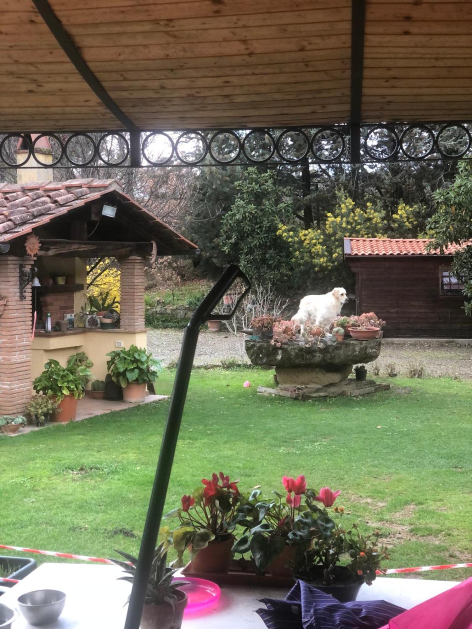 Villaspino Capolona Bagian luar foto