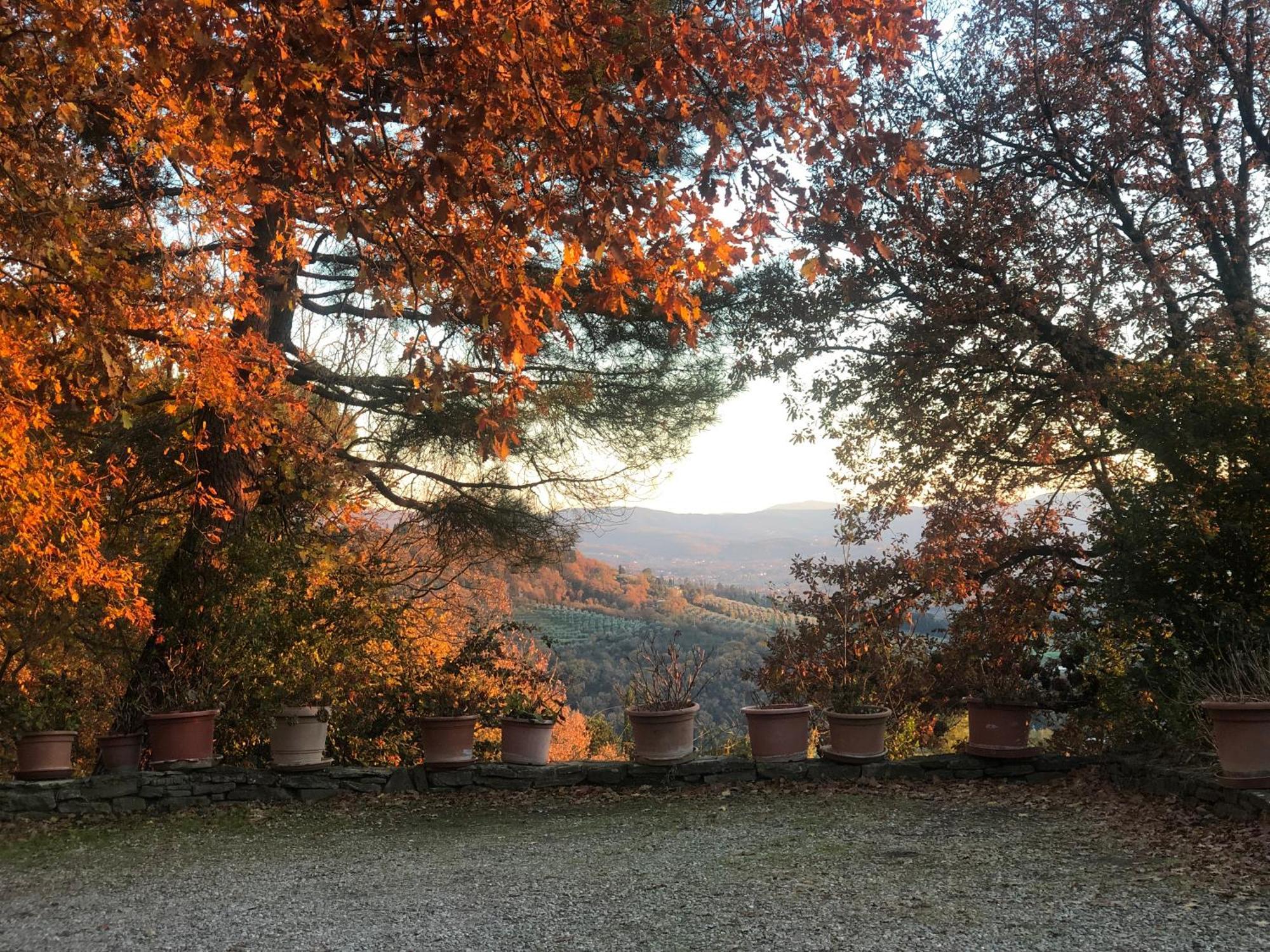 Villaspino Capolona Bagian luar foto